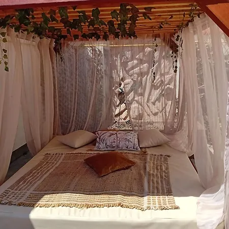 Appartement Zlatna *